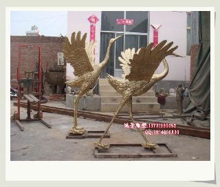 �~�����Q �~�����ӹ�