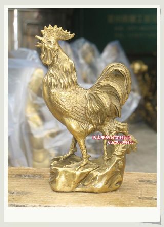 �~����﹫�u     �����~����