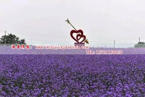 һ�����Ĳ��P䓵��������@���P䓵�����Ӱ�ǲ��P䓵���